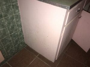 Mold on a bathroom cabinet