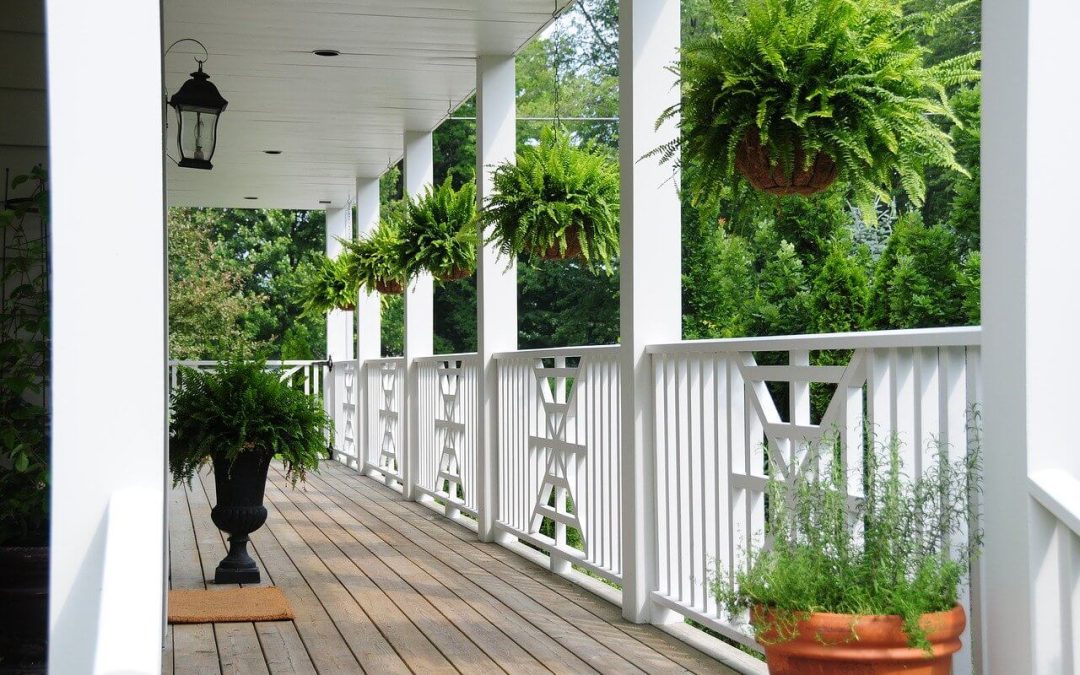 plants for the porch
