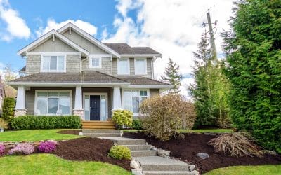 Landscape Design Tips Every Homeowner Should Know