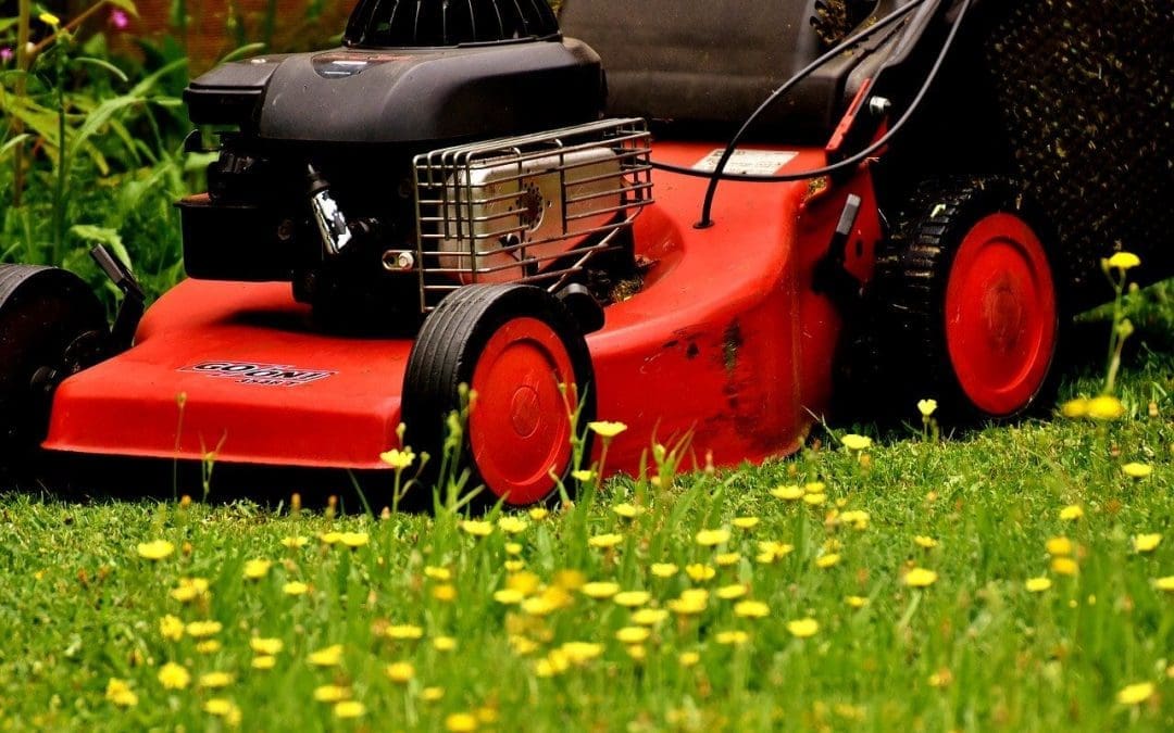Tips on Mowing Your Lawn: How to Get the Best Results All Season Long